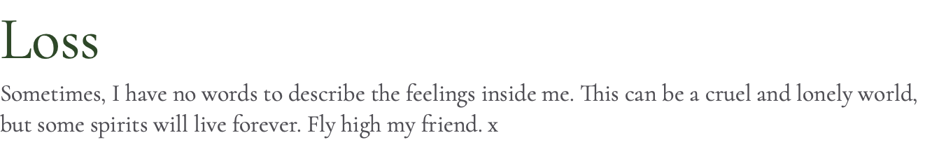 Loss Sometimes, I have no words to describe the feelings inside me. This can be a cruel and lonely world, but some spirits will live forever. Fly high my friend. x