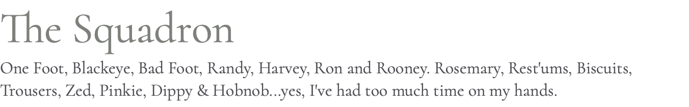 The Squadron One Foot, Blackeye, Bad Foot, Randy, Harvey, Ron and Rooney. Rosemary, Rest'ums, Biscuits, Trousers, Zed, Pinkie, Dippy & Hobnob...yes, I've had too much time on my hands.
