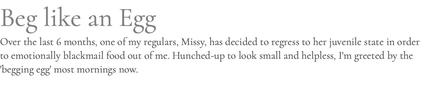 Beg like an Egg Over the last 6 months, one of my regulars, Missy, has decided to regress to her juvenile state in order to emotionally blackmail food out of me. Hunched-up to look small and helpless, I'm greeted by the 'begging egg' most mornings now.