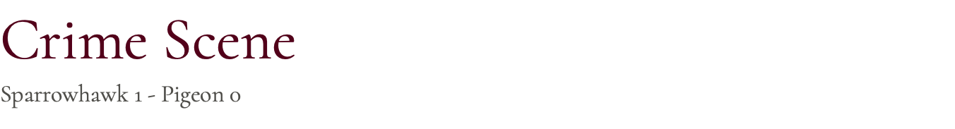 Crime Scene Sparrowhawk 1 - Pigeon 0