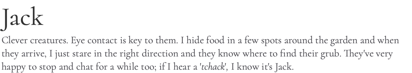 Jack Clever creatures. Eye contact is key to them. I hide food in a few spots around the garden and when they arrive, I just stare in the right direction and they know where to find their grub. They've very happy to stop and chat for a while too; if I hear a 'tchack', I know it's Jack.